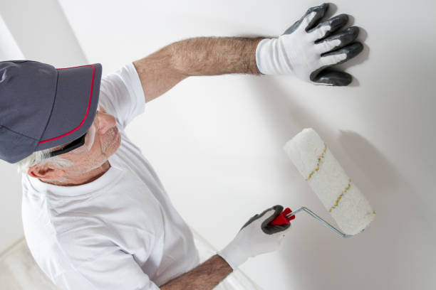 Professional Mold Removal in Edna, TX