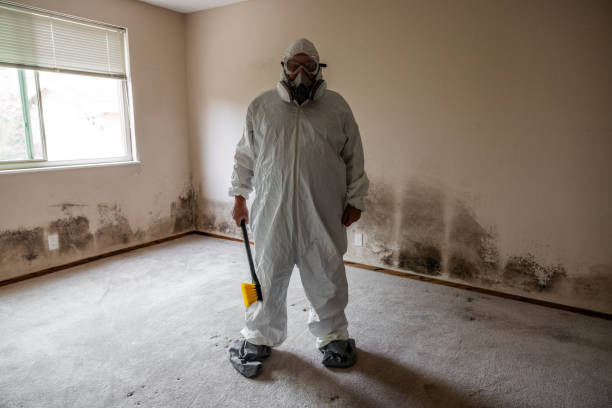 Asbestos and Lead Testing During Mold Inspection in Edna, TX