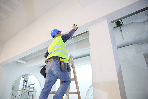 Best Mold Odor Removal Services  in Edna, TX